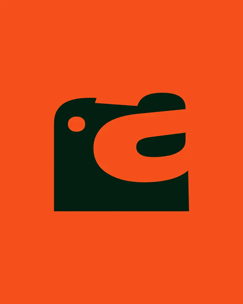 image de goelands et de la mer